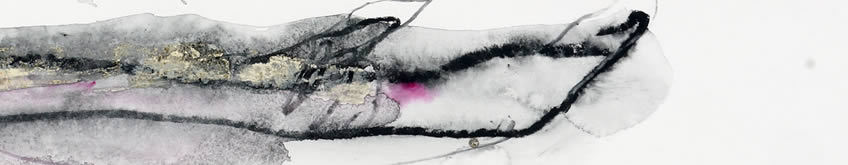 Bettina Tratzm&uuml;ller - Malerei und Fotografie